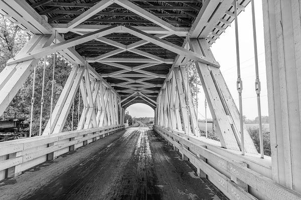 Haney, Chuck 아티스트의 Gilkey Covered Bridge near Scio-Oregon-USA작품입니다.